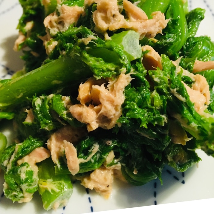 わさび菜とツナの和え物 レシピ 作り方 By みーすけ5481 楽天レシピ わさび菜とツナの和え物 レシピ 作り方 By みーすけ5481 楽天レシピ